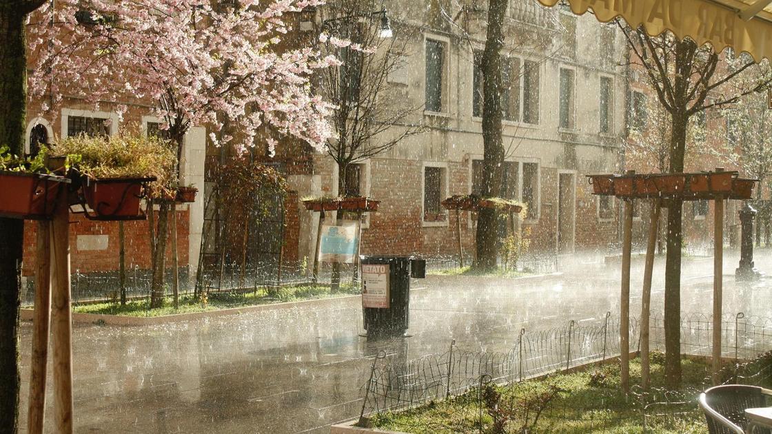 Нөсер жаңбыр