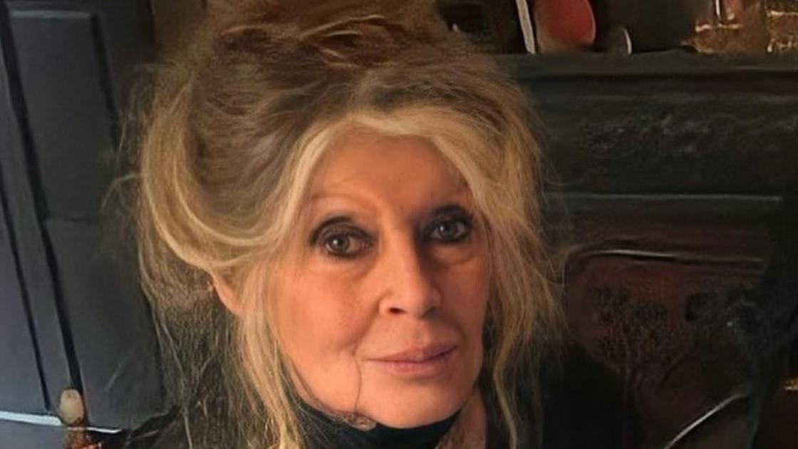 Актриса Брижит Бардо