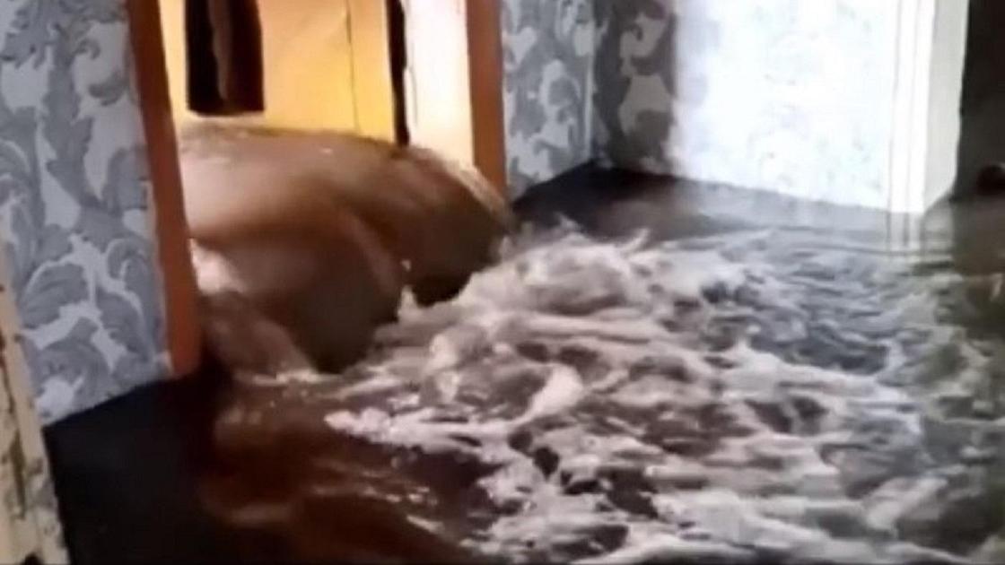 су басқан үй су басқан үй