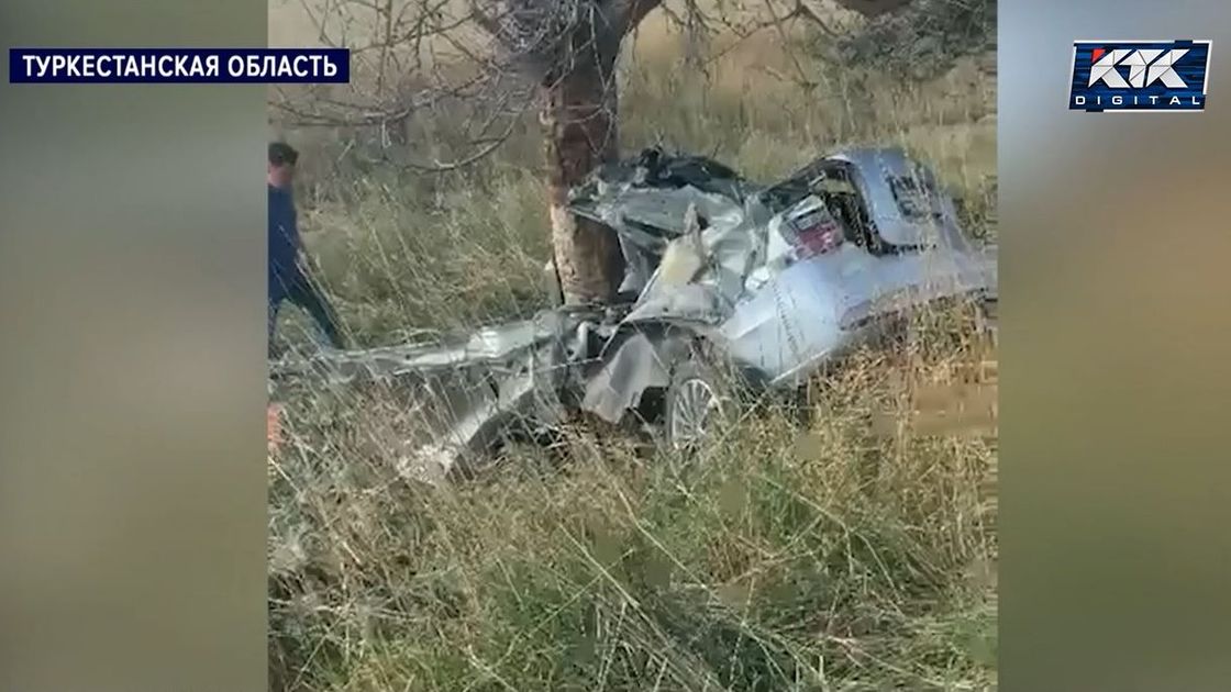 Машина врезалась в дерево