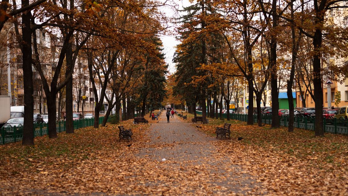күз