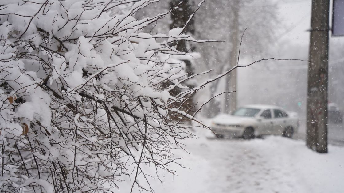 Қалың қардың суреті