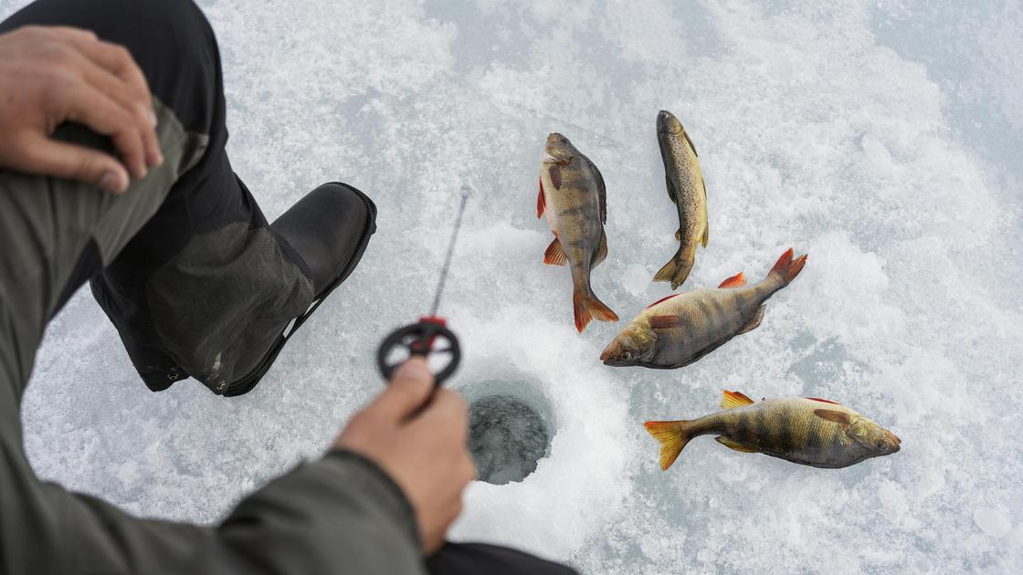 Подледная рыбалка