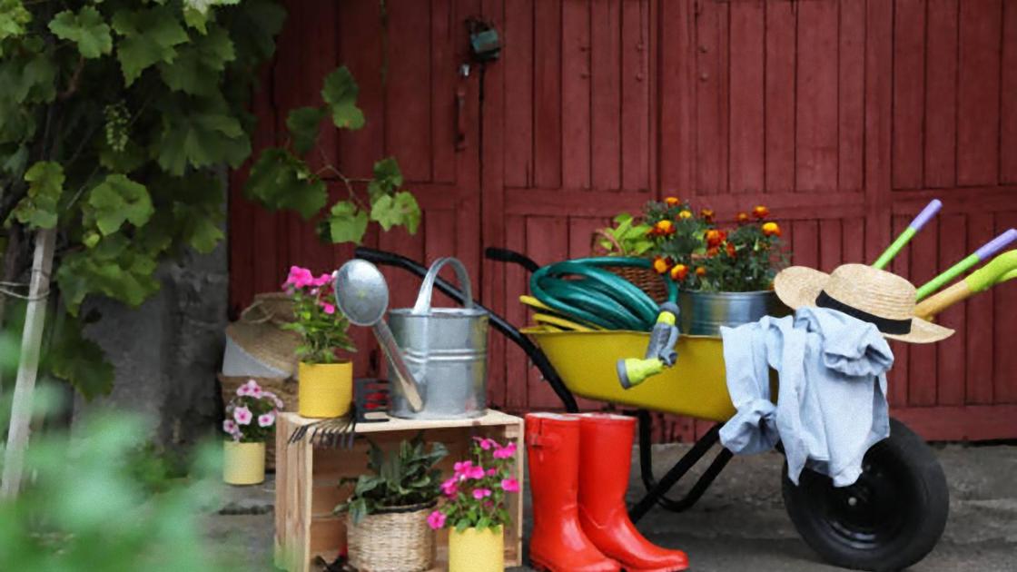 Садовая тачка, резиновые сапоги, цветы в горшках, поливайка, шланг