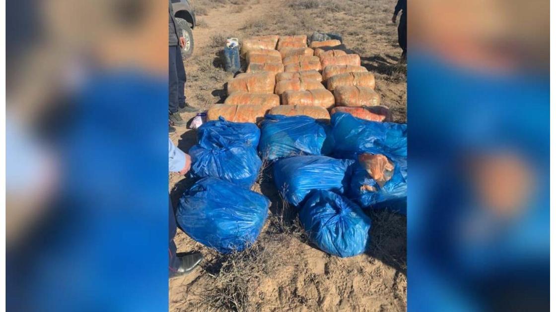 есірткі партиясы есірткі партиясы