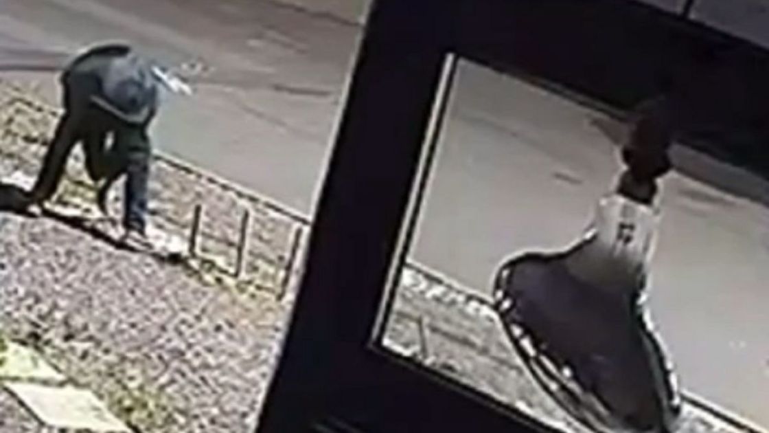 Мужчина вырывает деревья в Караганде