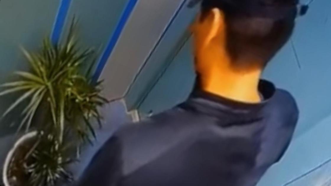 Мужчина смотрит на пальму в лифте