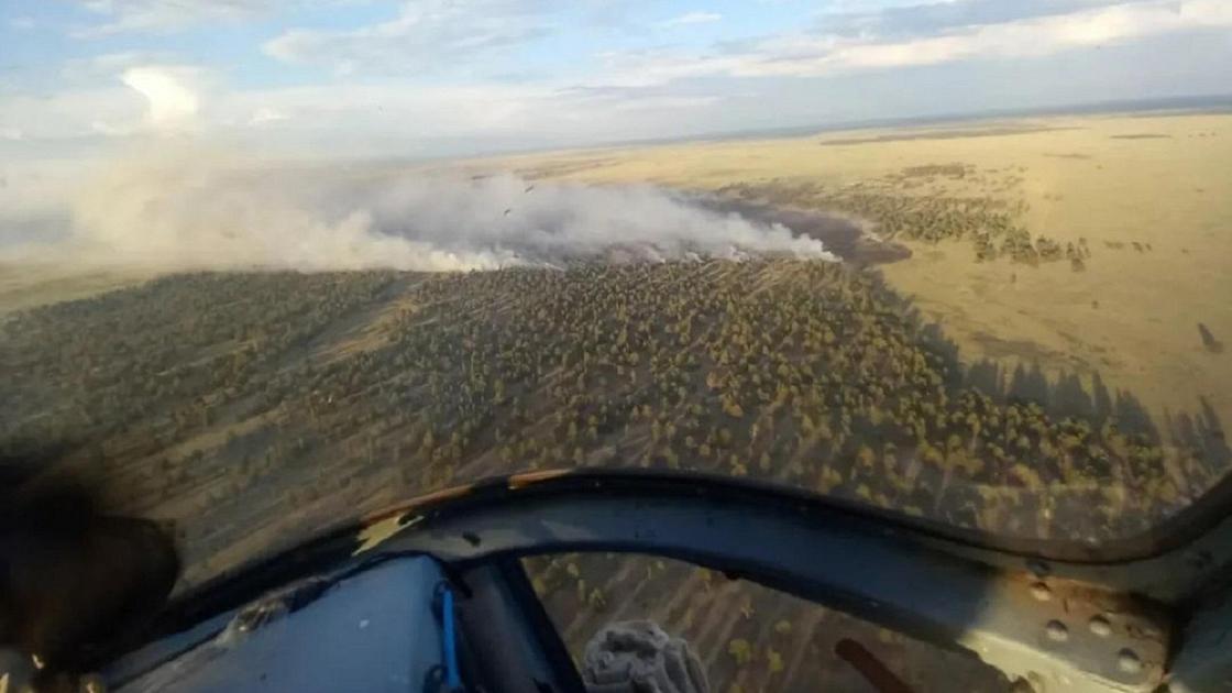 Абай облысындағы орман өрті Абай облысындағы орман өрті