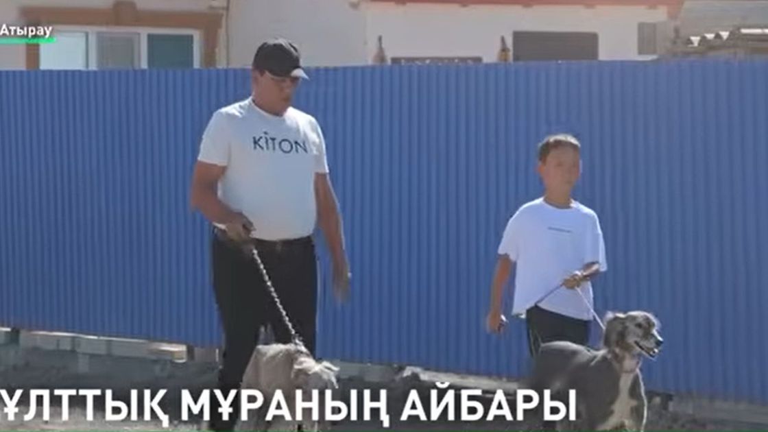 Тазы асырайтын бала
