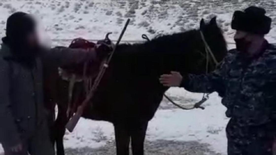Инспектор полиции и предполагаемый нарушитель стоят у лошади