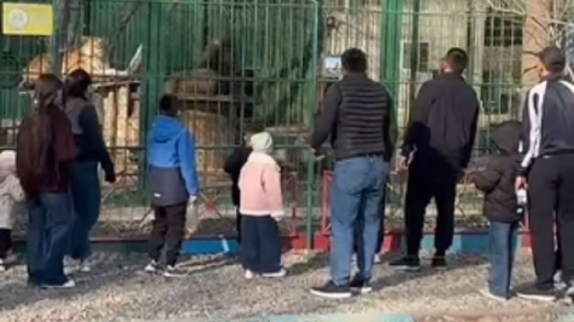 Взрослые и дети у вольера в Семее