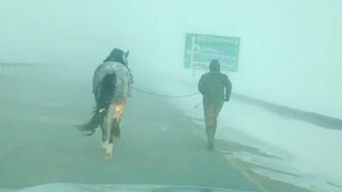 Спасение пастуха в Акмолинской области