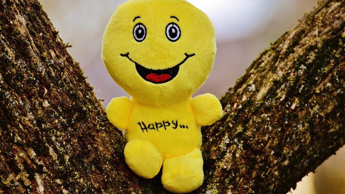 Мягкая игрушка смайлик с надписью «Happy» сидит на дереве между ветками
