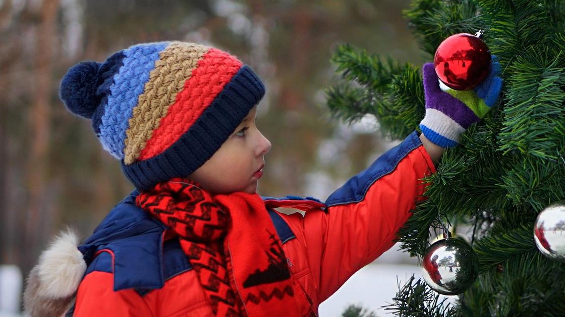 мальчик стоит возле новогодней елки