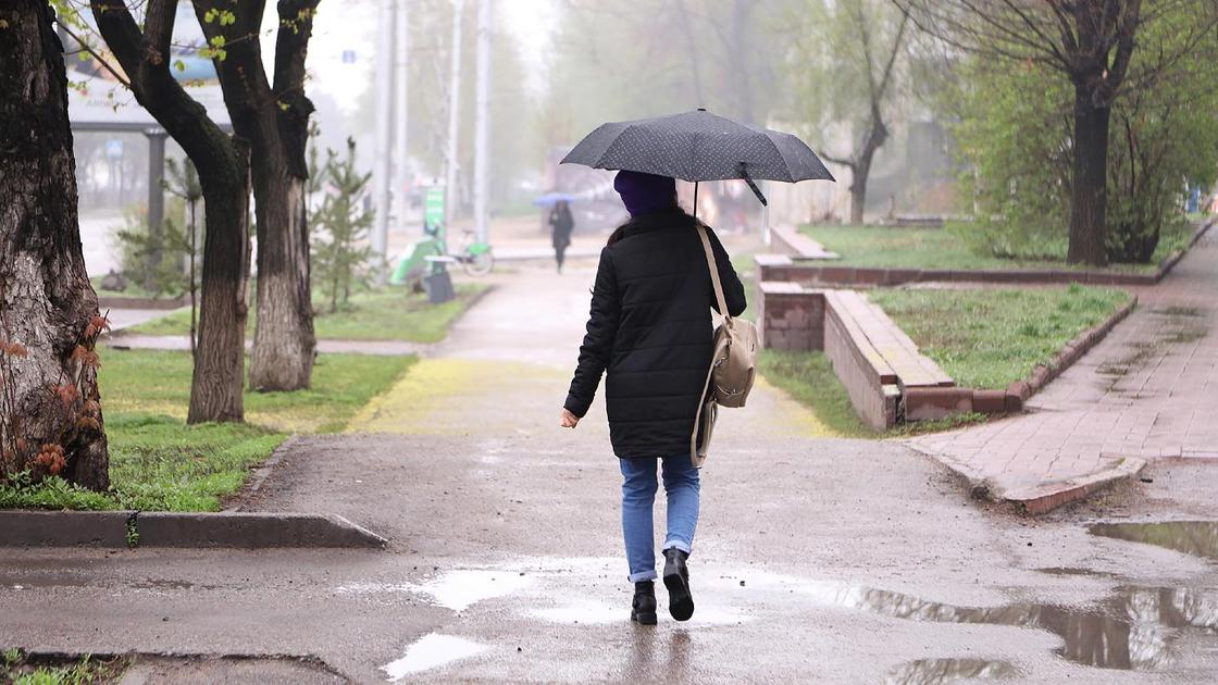 Женщина с зонтом идет по улице в дождливую погоду