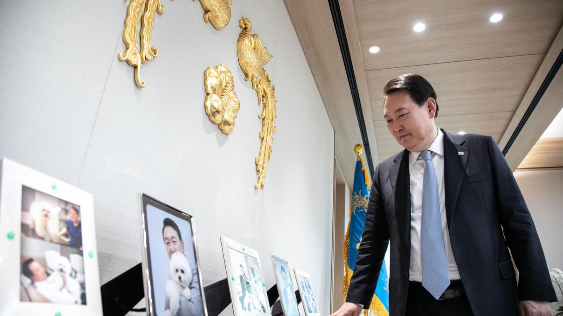 Президент Южной Кореи Юн Сок Ель смотрит на фото своих собак