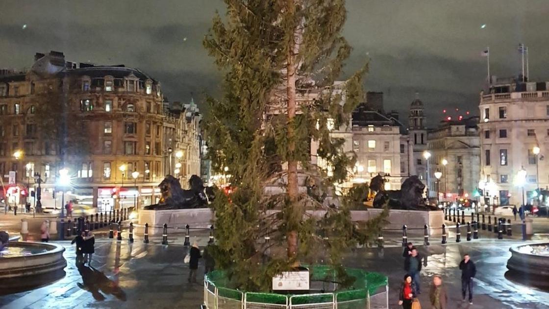 Новогодняя елка в центре Лондона