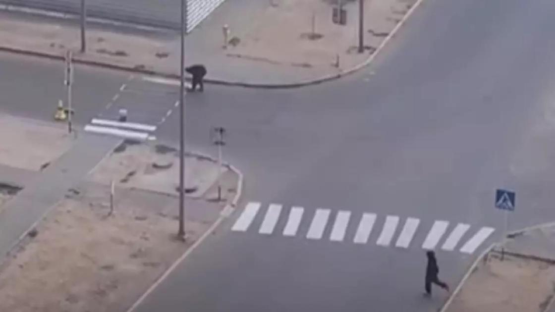 Зебра өткелі