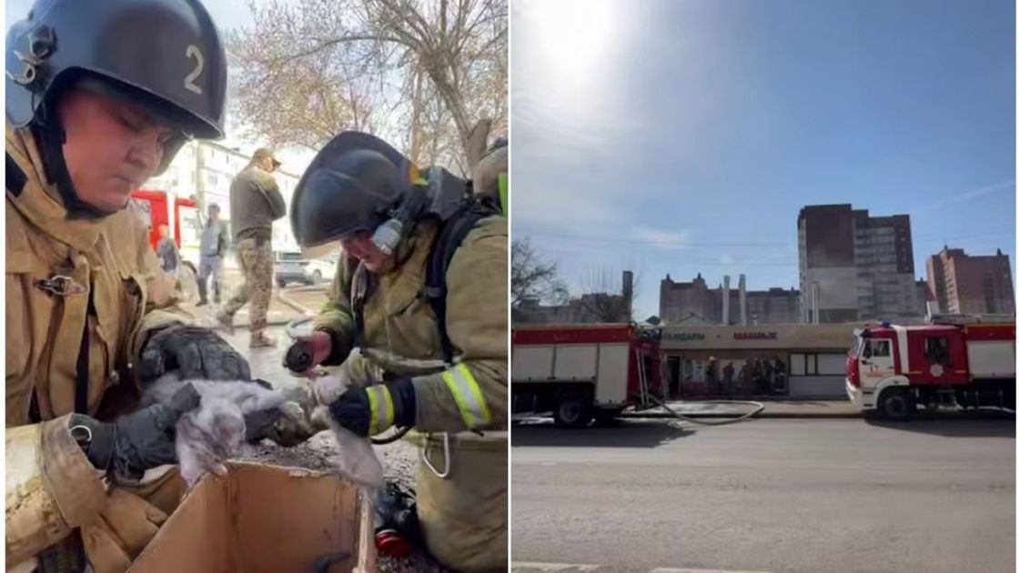 Пожарные спасли котят