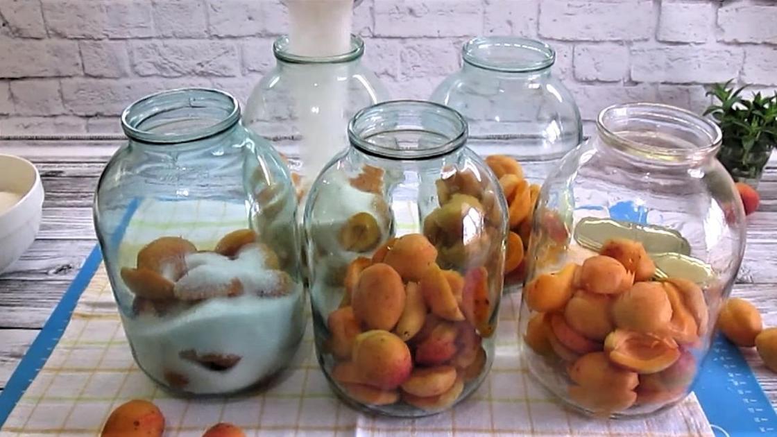 Заполнение банок с абрикосами сахаром