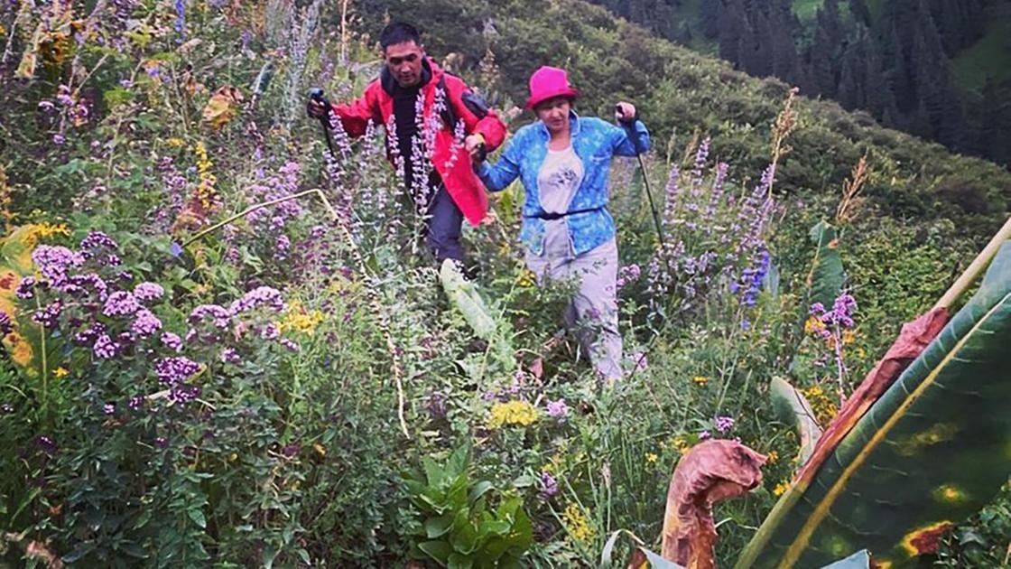 Два человека идет сквозь растения в горах