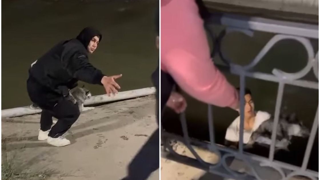 Спасение собаки