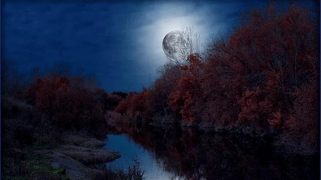 Луна в ночном небе Луна в ночном небе