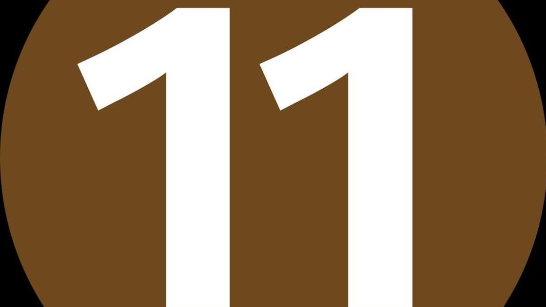 число 11