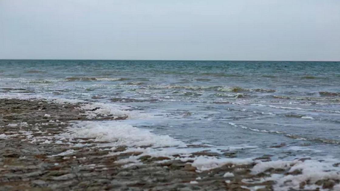 Арал теңізі