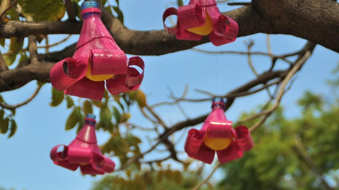 Светильники в форме красных цветов из верхушек пластиковых бутылок подвешены на дереве