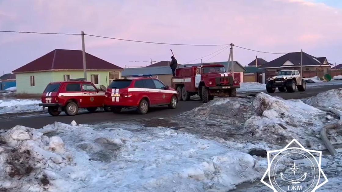 Спецтехника в Коянды