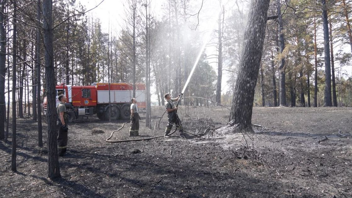 Орман өртін сөндіріп жүрген өрт сөндіруші