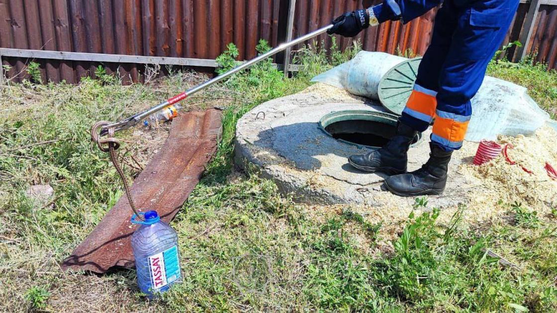 Ловля змеи с помощью приспособления "змеелов"