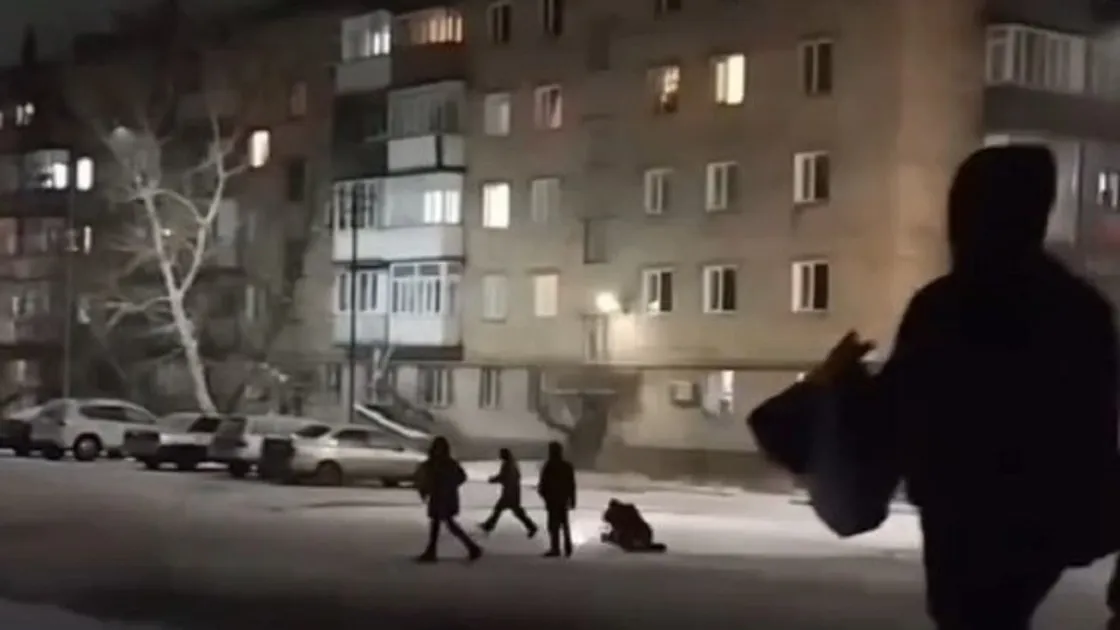 Зимние "забавы"