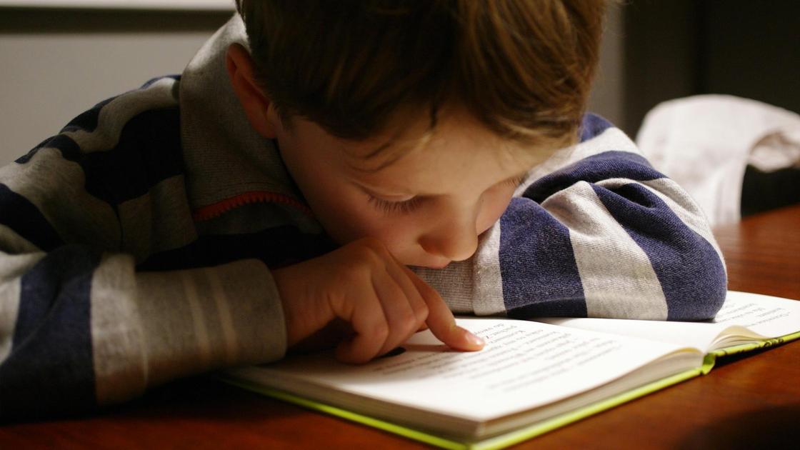 Мальчик с книгой