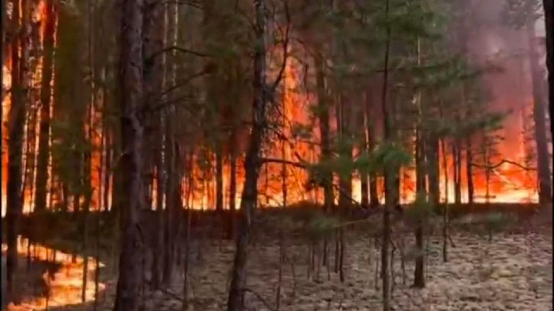 Пожар в "Семей орманы"