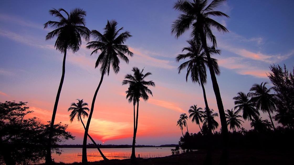 Закат на пляже с пальмовыми деревьями