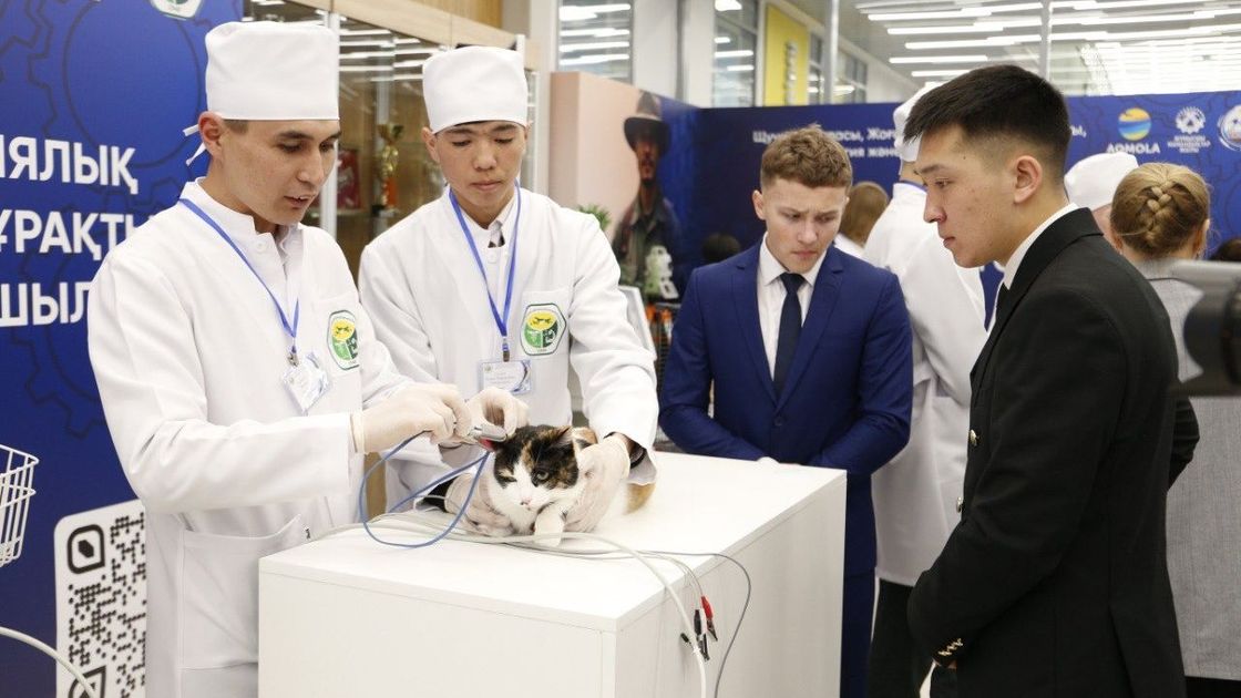 Обучение студентов