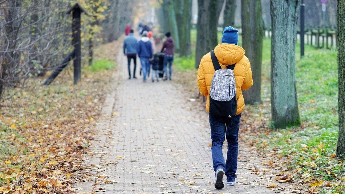 Мальчик с рюкзаком идет по аллее