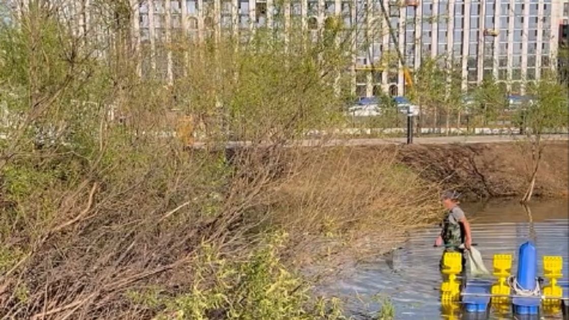 Пруд в Samal Park Астана