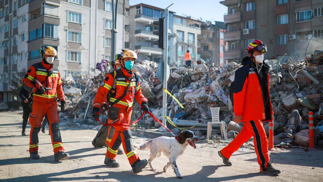 Спасатели с поисковой собакой на месте землетрясения в Турции