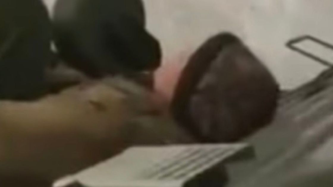 Кадр из видео