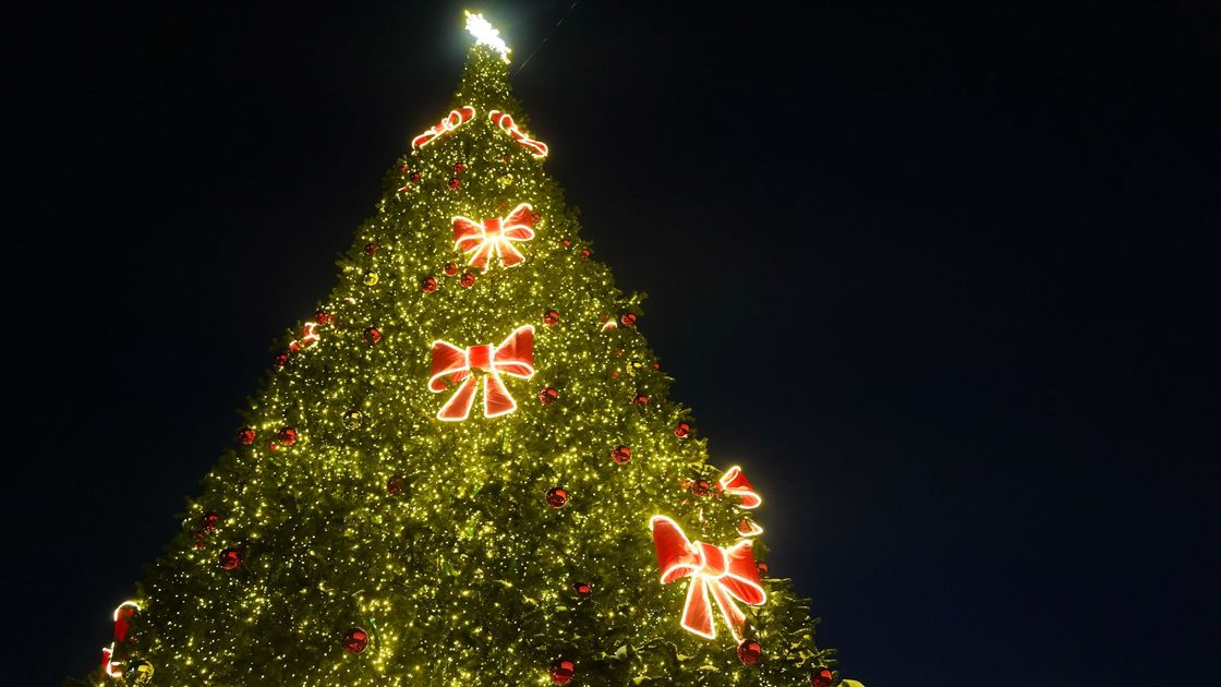 Жаңажылдық шырша