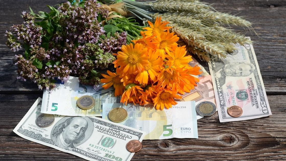 Цветы лежат на купюрах и монетах