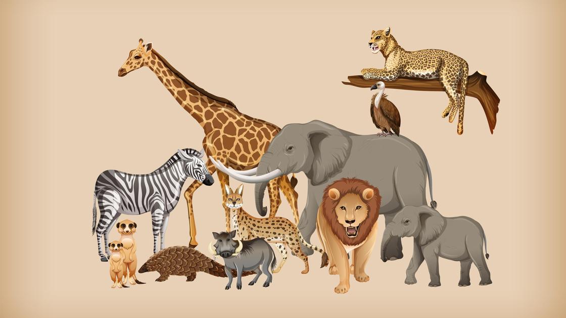 дикие животные африки