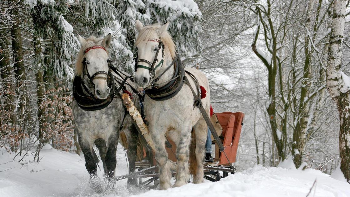 Атты шанаға жеткен шаруа. Көрнекі сурет