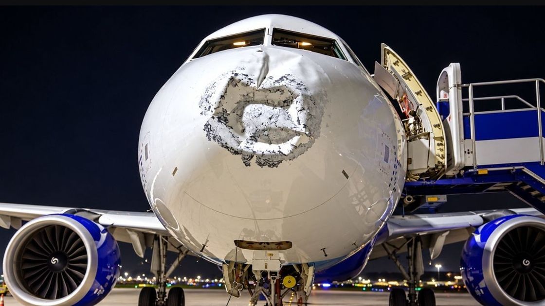 Самолет IndiGo