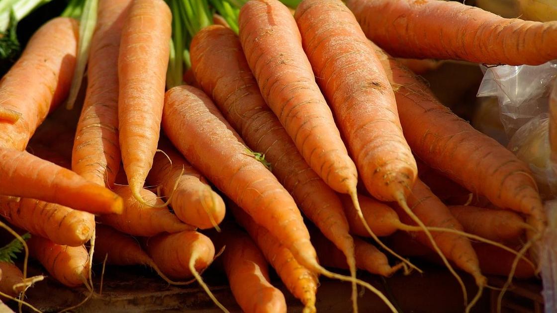 Морковь лежит на прилавке