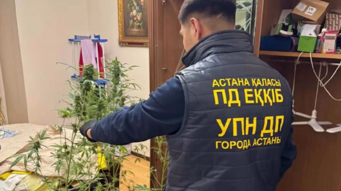 Марихуану нашли в доме таролога