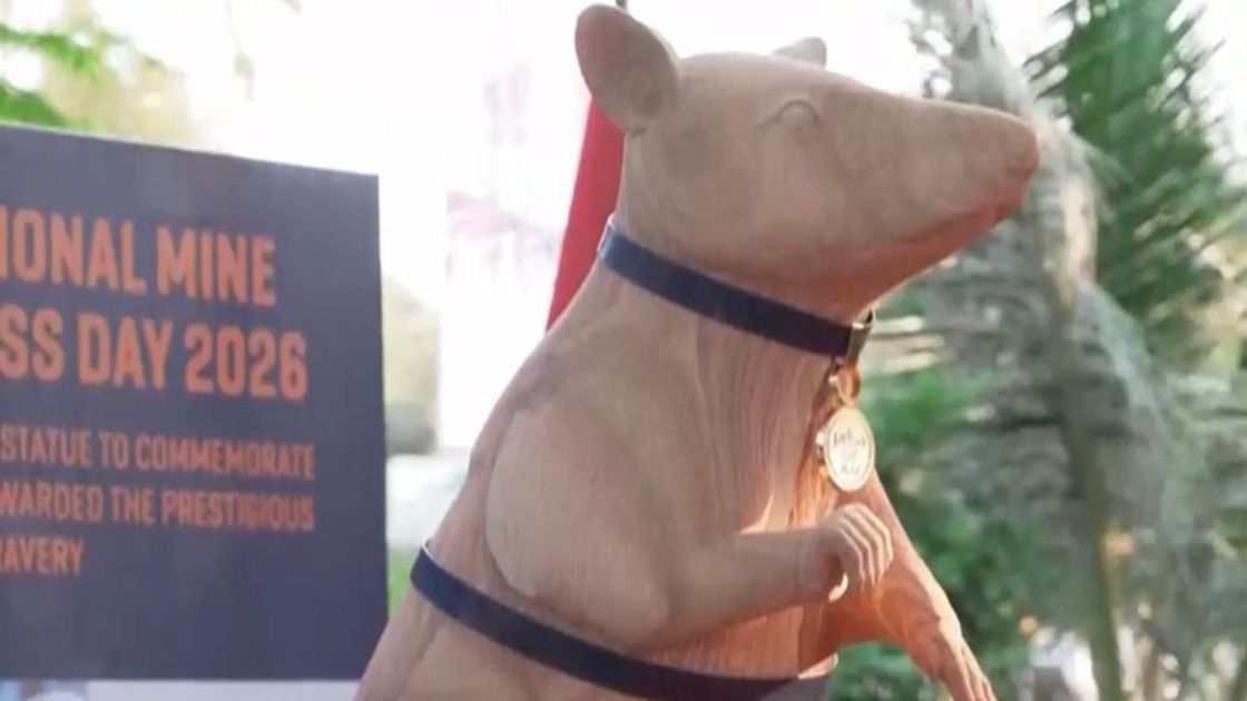 Егеуқұйрыққа қойылған ескерткіш